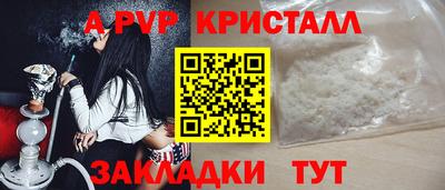 прущие грибы Волгодонск