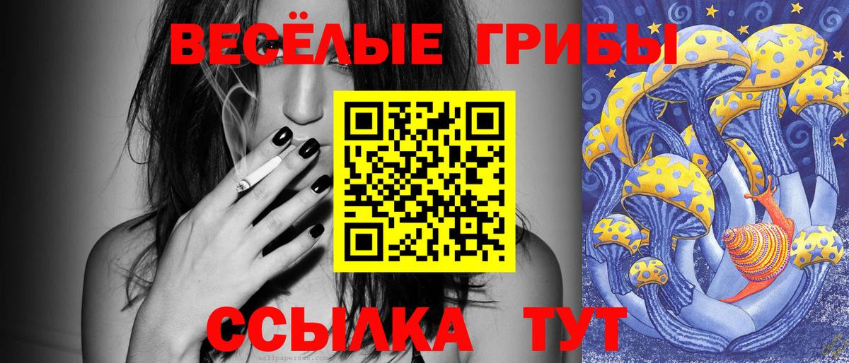 Пугачёв  Галлюциногенные грибы Cubensis  Вход с VPN 